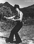 Brucelee