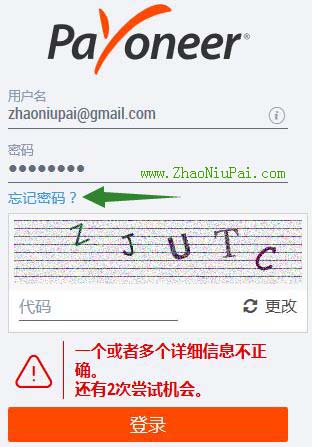 Payoneer.jpg
