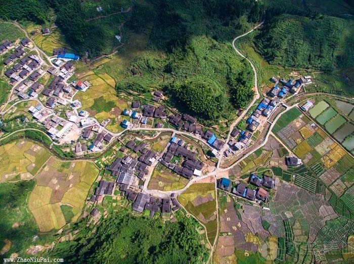 福建宁德钟洋村
