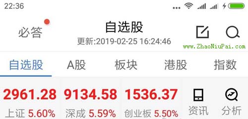 炒股记录