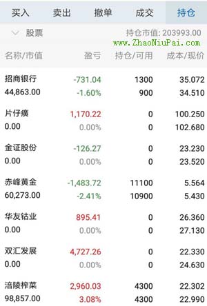 炒股记录