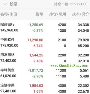 炒股记录