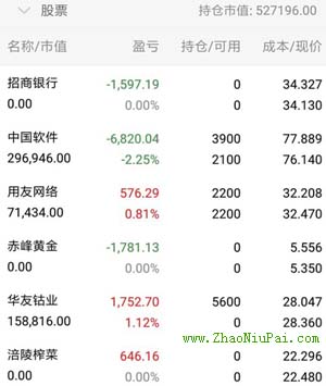 炒股记录