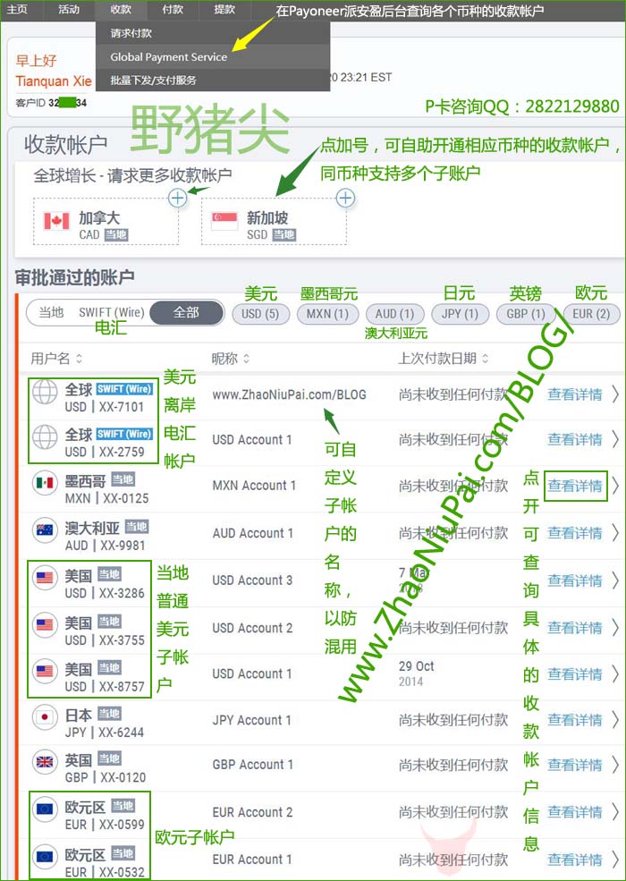 在Payoneer派安盈后台查询收款帐户信息