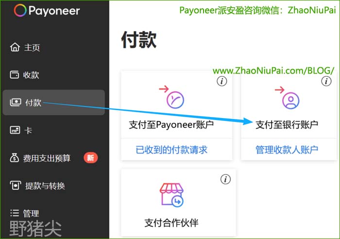 Payoneer派安盈付款给第三方收款人账户 Payoneer派安盈付款给第三方收款人账户.jpg