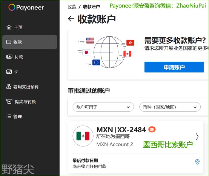 Payoneer派安盈墨西哥账户.jpg