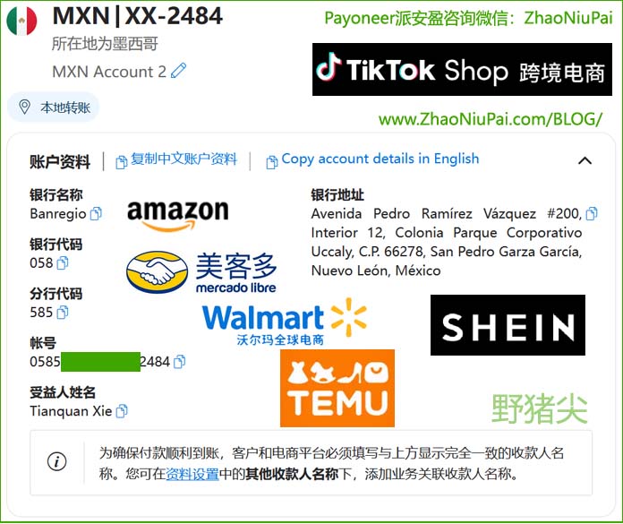Payoneer派安盈墨西哥账户2.jpg