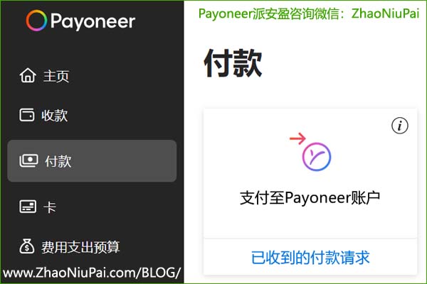 Payoneer派安盈互转 Payoneer派安盈互转.jpg