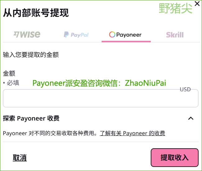 从Preply提现到Payoneer派安盈，输入提现金额.jpg