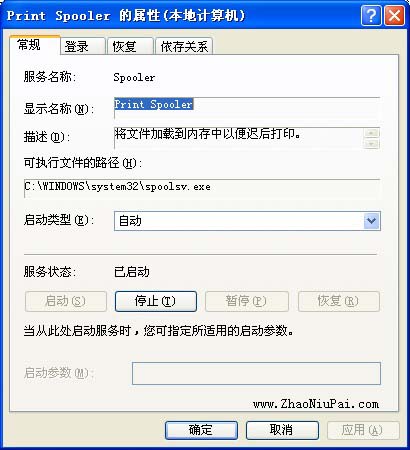 把“启动类型”设置为“自动”，把“服务状态”设为“已启动”