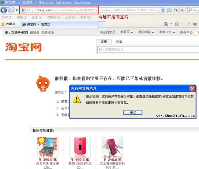 亲历淘宝钓鱼诈骗网站