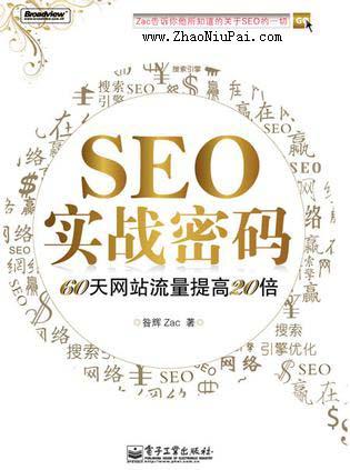 SEO实战密码：60天网站流量提高20倍