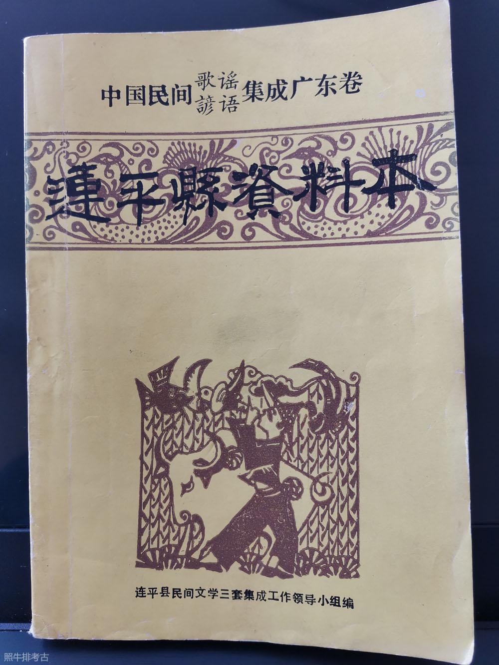 《连平县资料本》.jpg