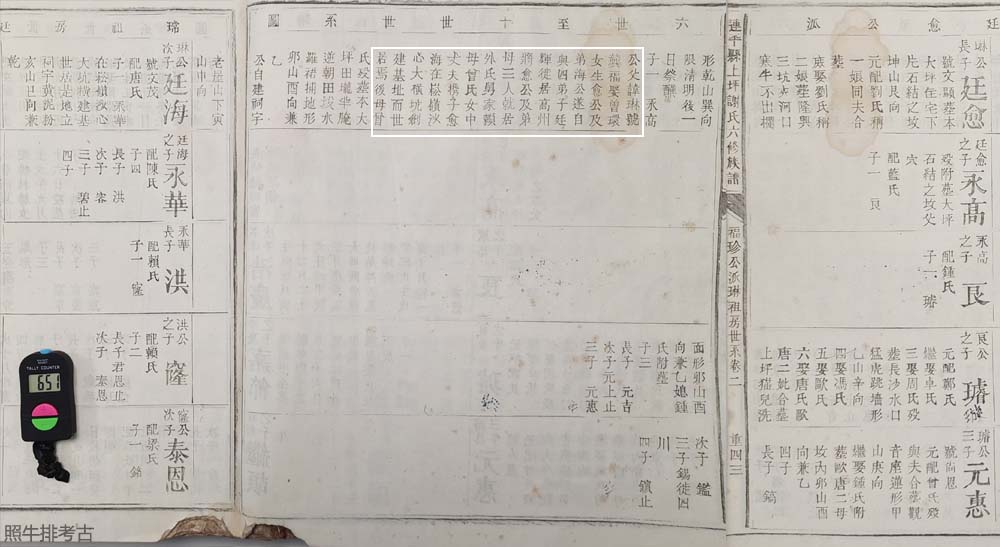 谢廷愈、谢廷海兄弟俩迁居连平崧岭的经过.jpg