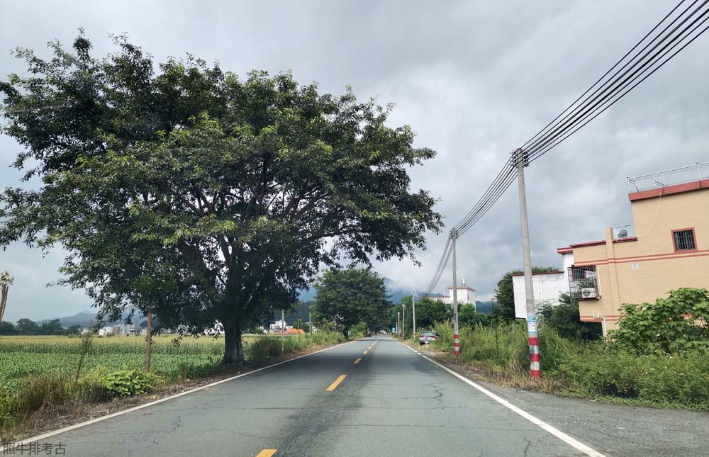 连平麻陂水龙屋路口.jpg