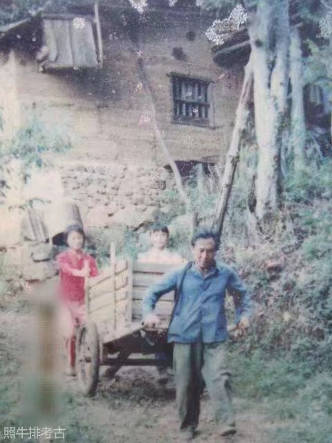 1995年左右，谢朝发用手推车往外运送鹰嘴蜜桃.jpg