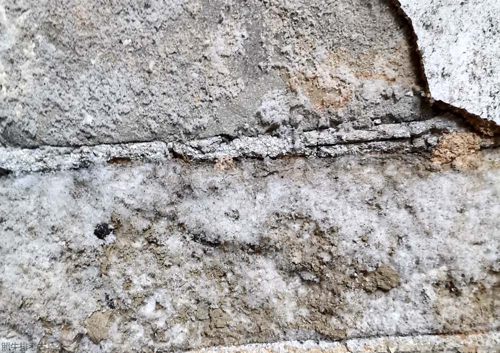 砖墙长年受潮形成土硝（硝酸钾）.jpg