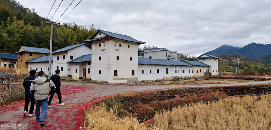 沙心村黄泥粉2.jpg