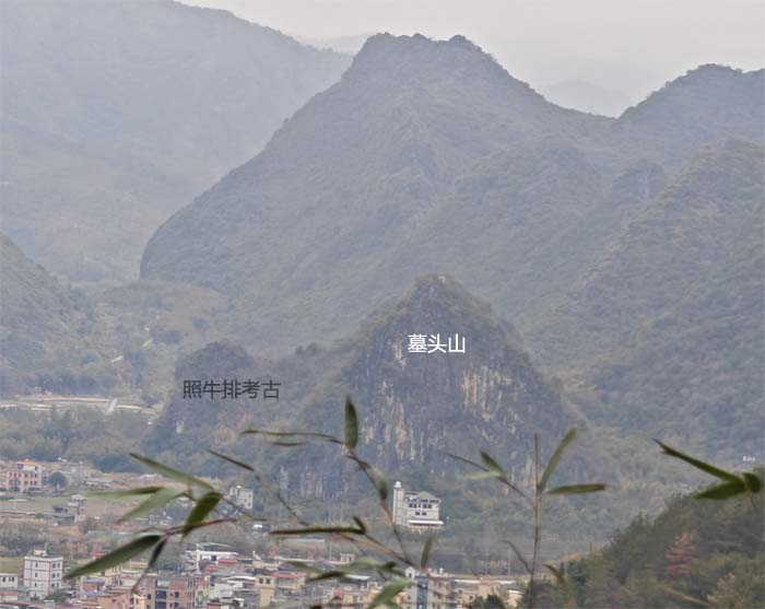 连平陂头墓头山.jpg