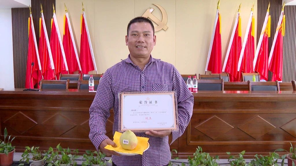 2024年的鹰嘴桃王.jpg