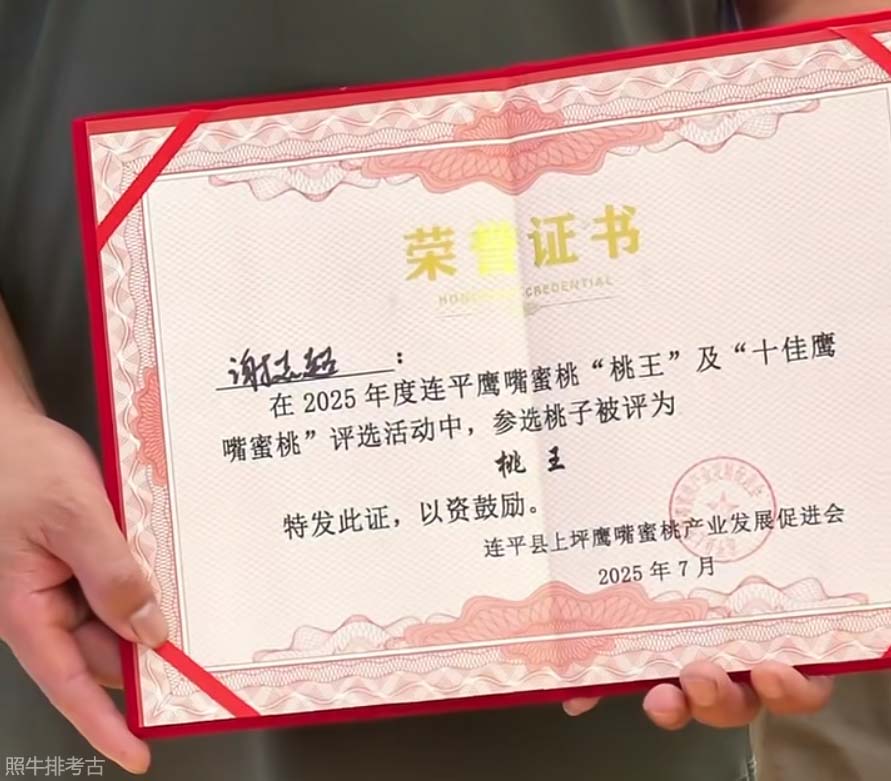 2025年度鹰嘴桃王荣誉证书.jpg