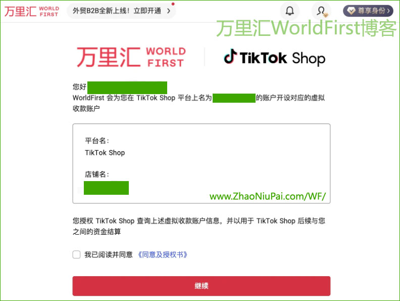WorldFirst-TokTok4.jpg