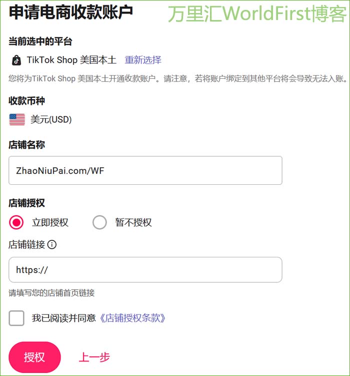 WorldFirst-TokTok10.jpg