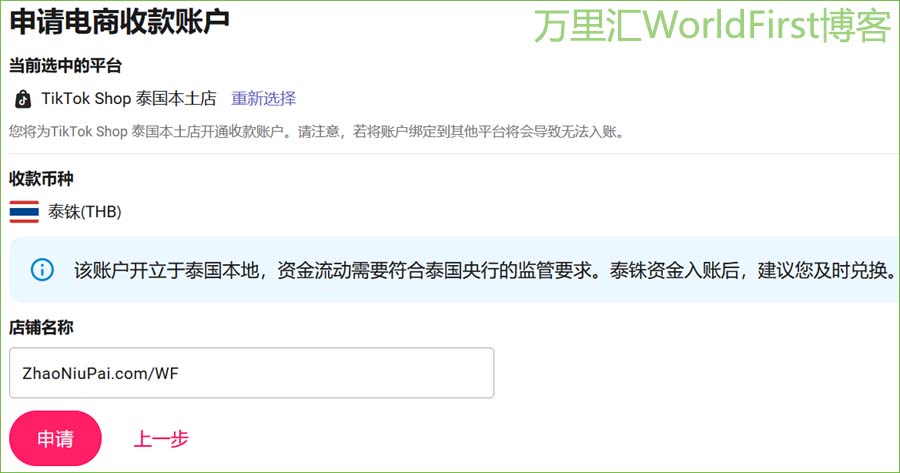 WorldFirst-TokTok17.jpg