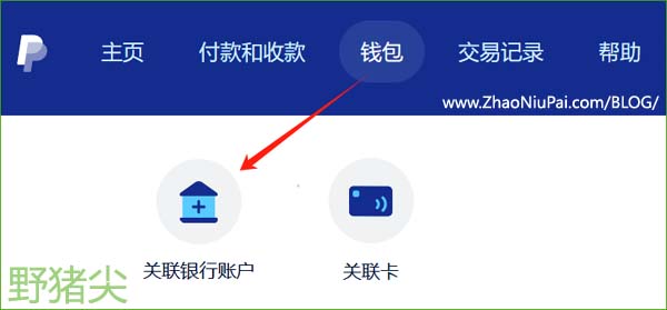 PayPal-Payoneer.jpg