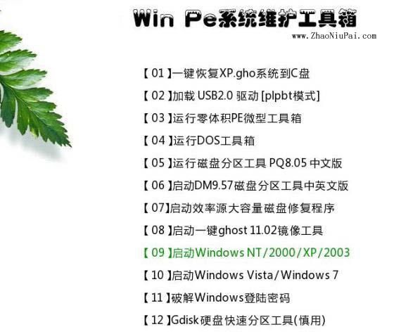 pesedu出品的 0PE 的启动操作界面