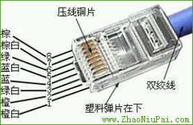 568B的线序是橙白、橙、绿白、蓝、蓝白、绿、棕白、棕